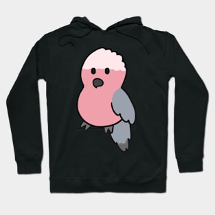 Cute Pink Cockatoo Hoodie